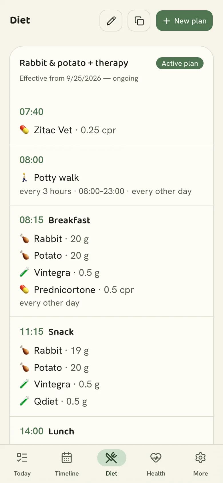 The diet plan with meals, portions and medications