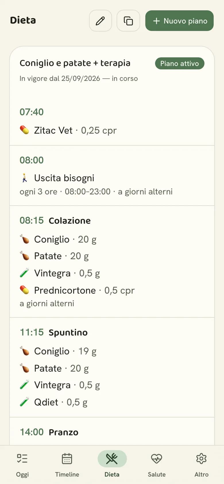 Il piano dieta con pasti, porzioni e farmaci